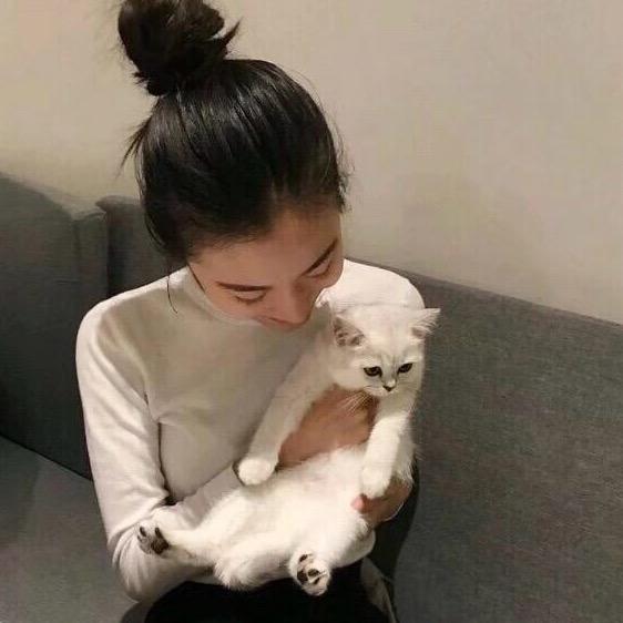 小狸