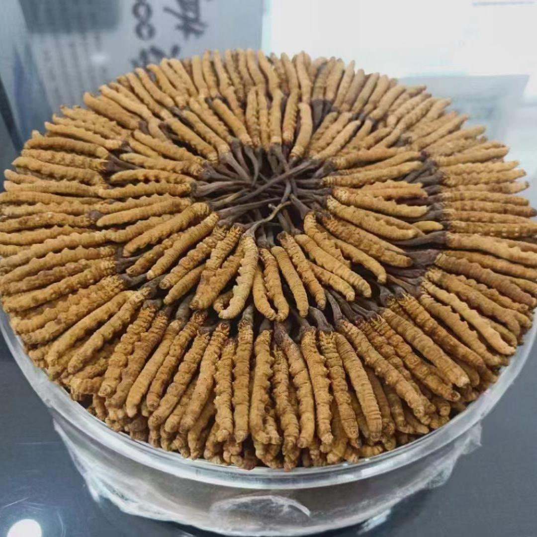 闽南滋补店