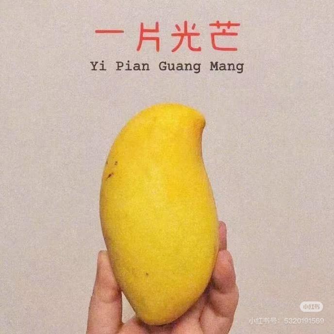 花开🌺🌺🌺富贵