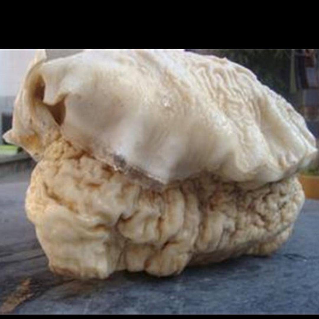 ？？👁️👁️👁️