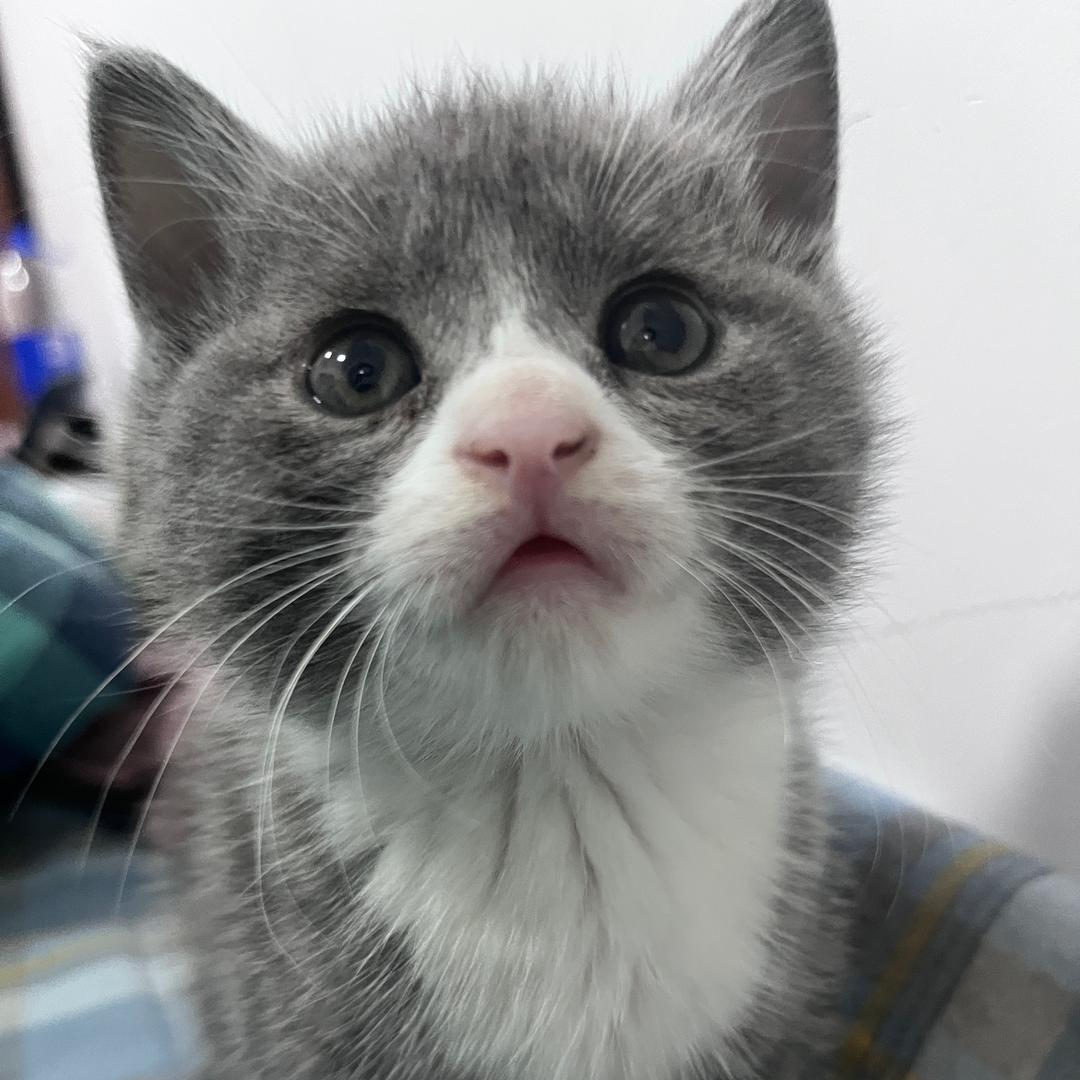 小七的家🏠(硬装ing)