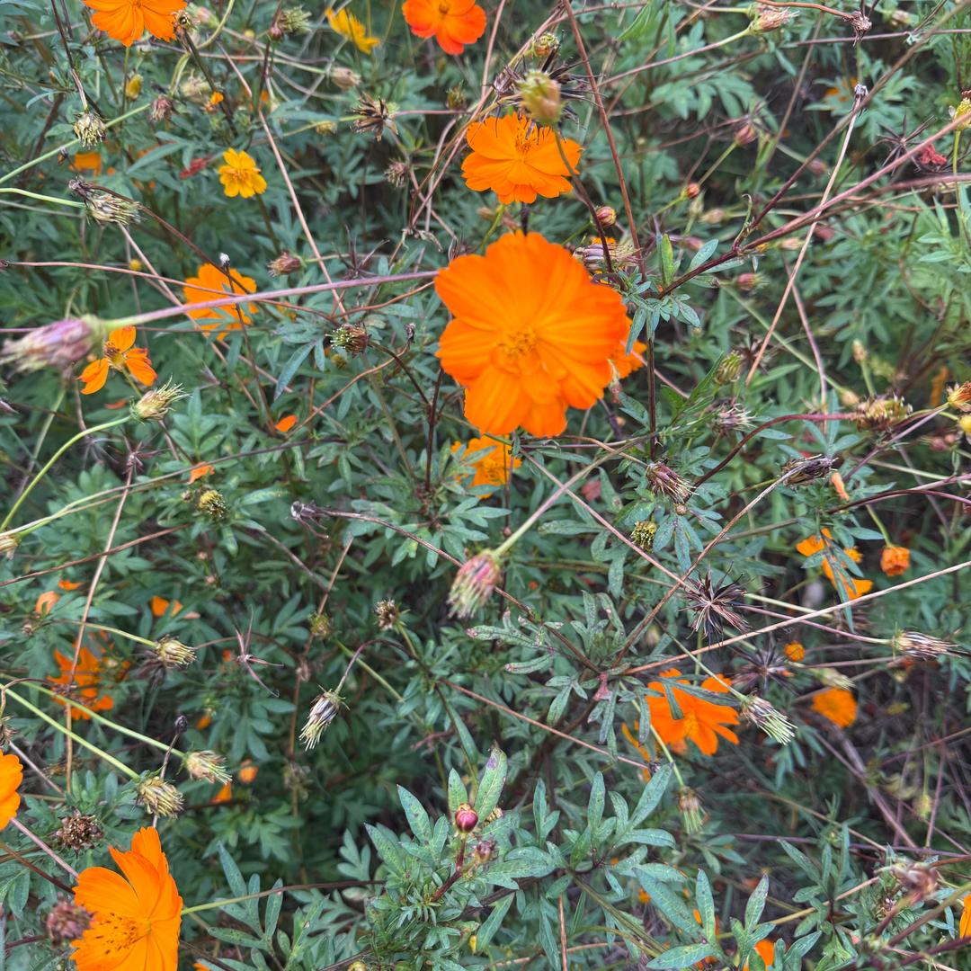 ꧔ꦿ᭄💞余生爱自己꧔ꦿ᭄💞