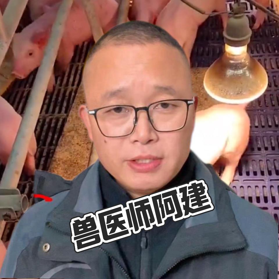 猪业阿建