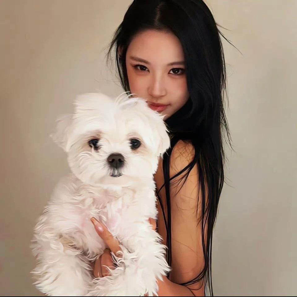 小狗不悲伤.