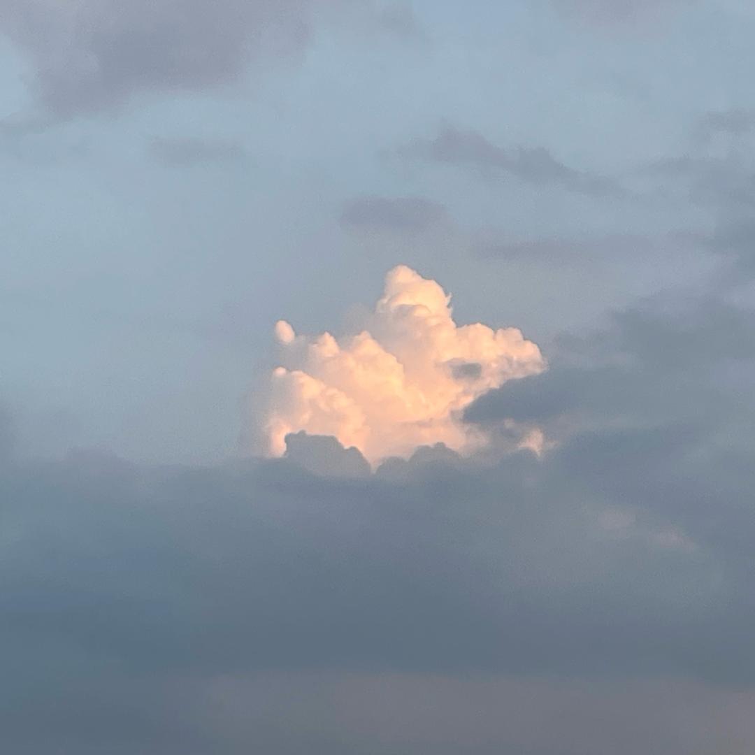 名字好难取啊（工作版）