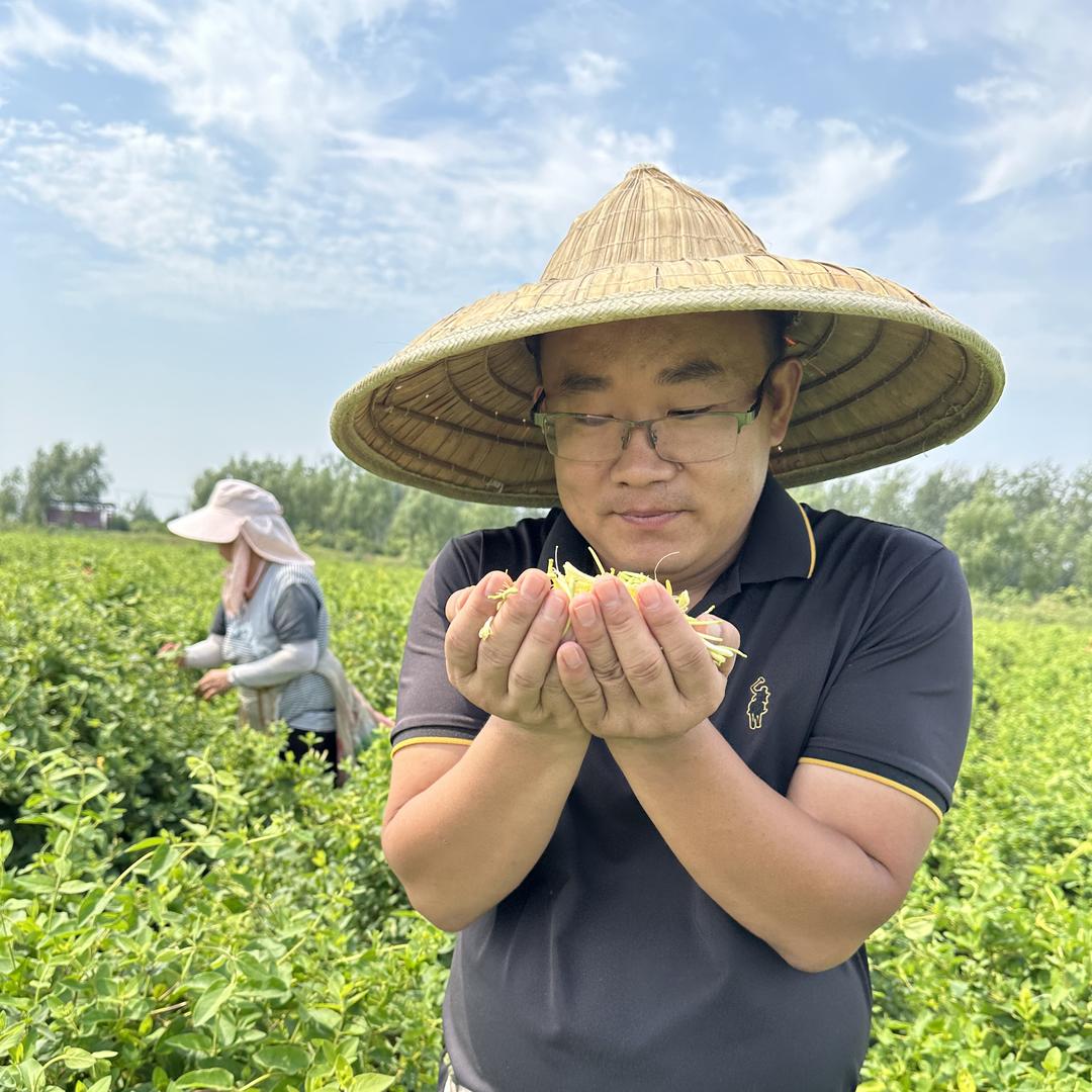 农家金银花