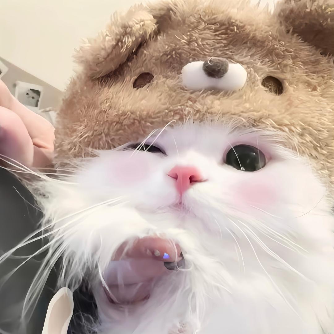 修乐