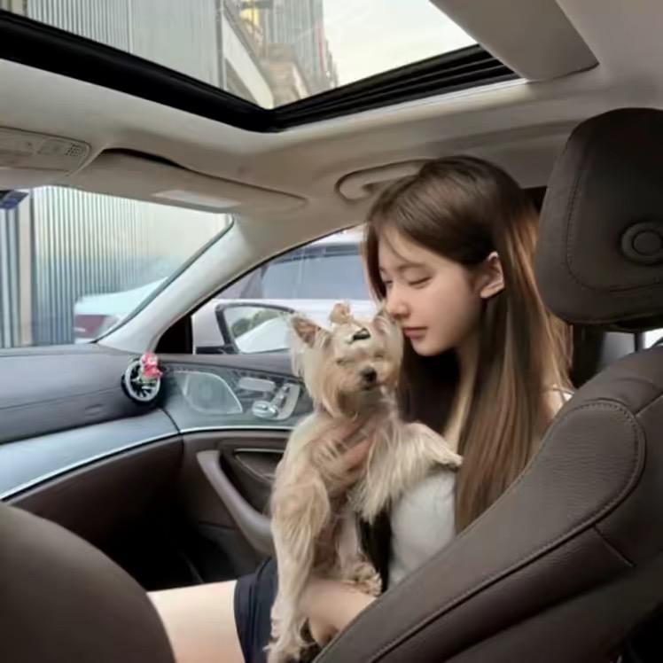 ㅤㅤㅤㅤㅤㅤ       ㅤㅤㅤ