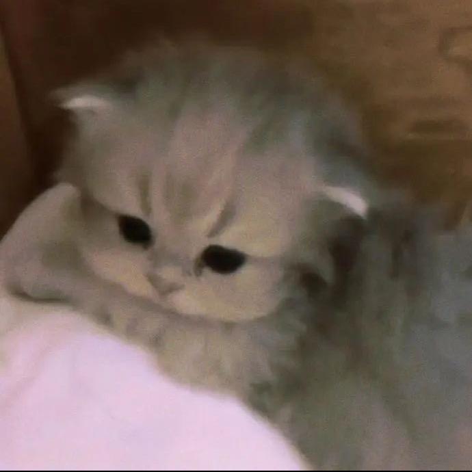 Niiini