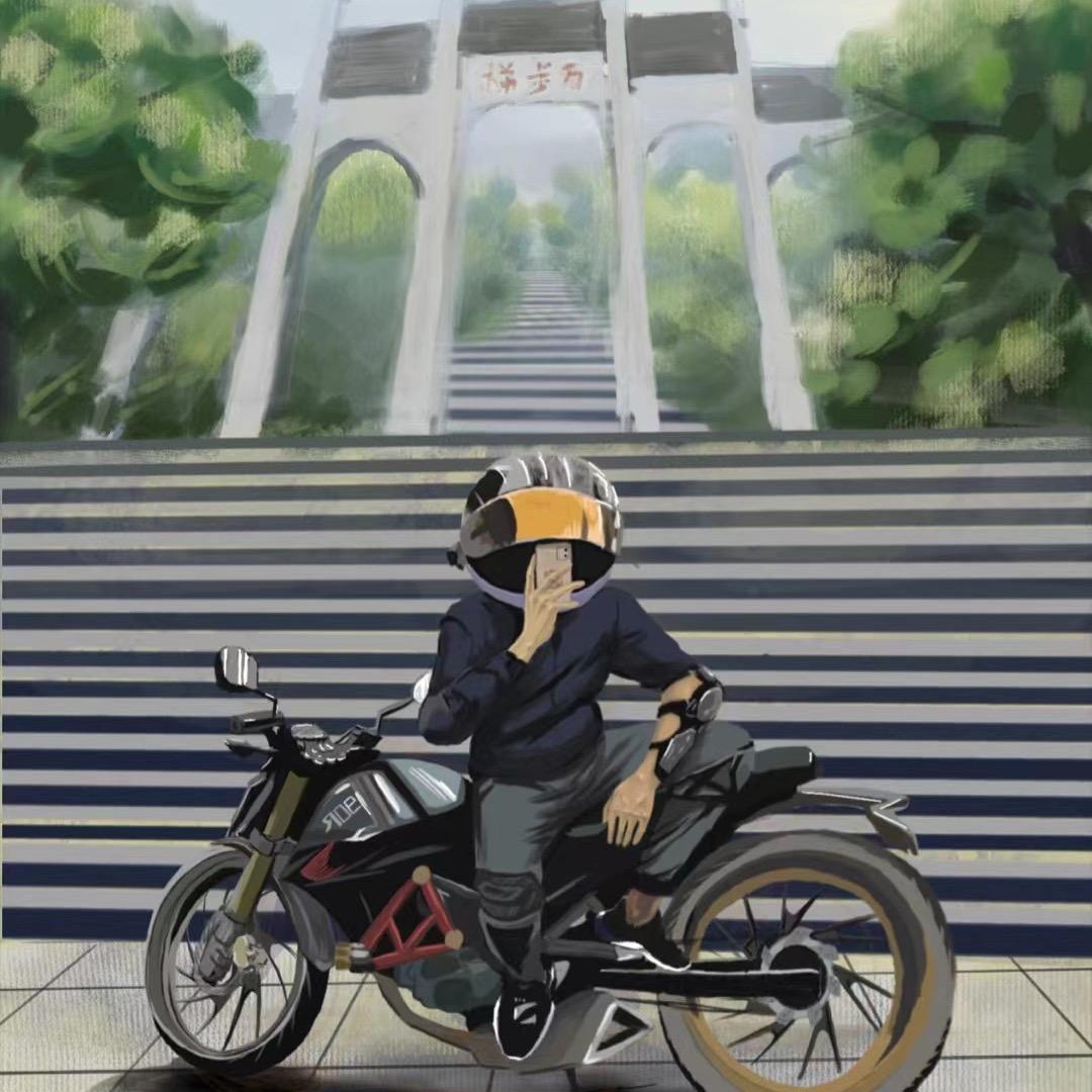 飞在天上