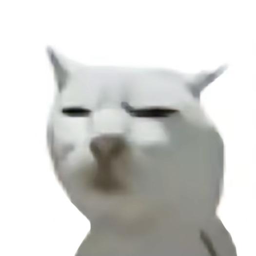 鱼桶