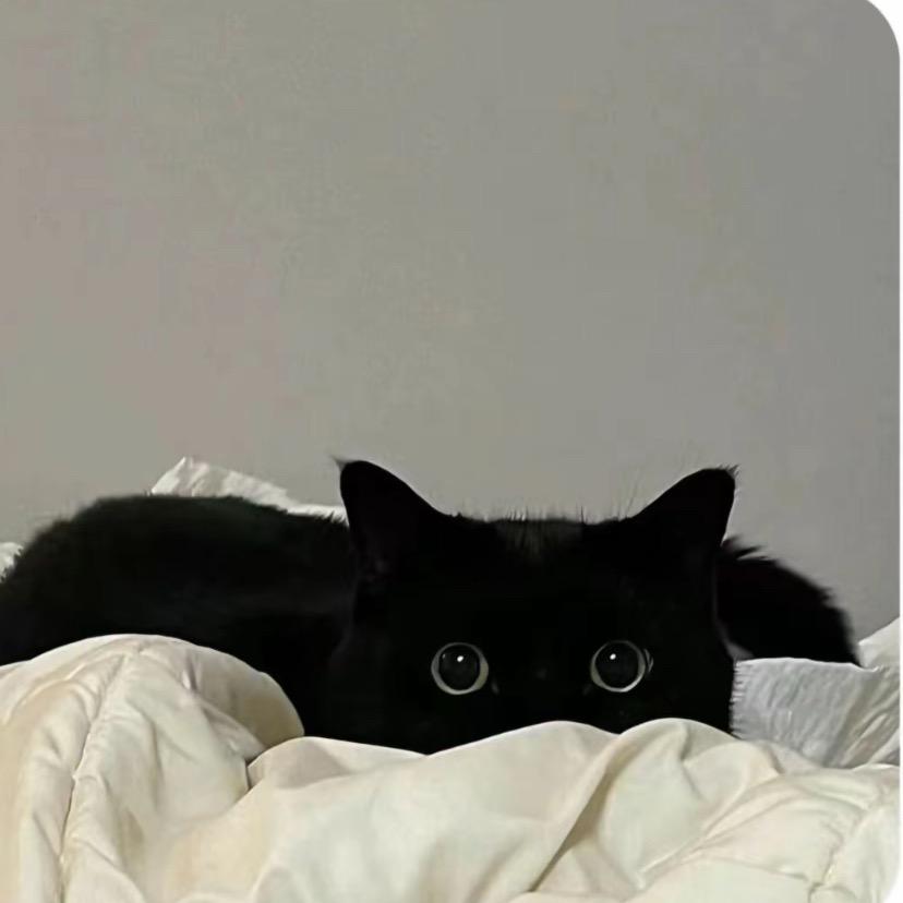 ^Zz.