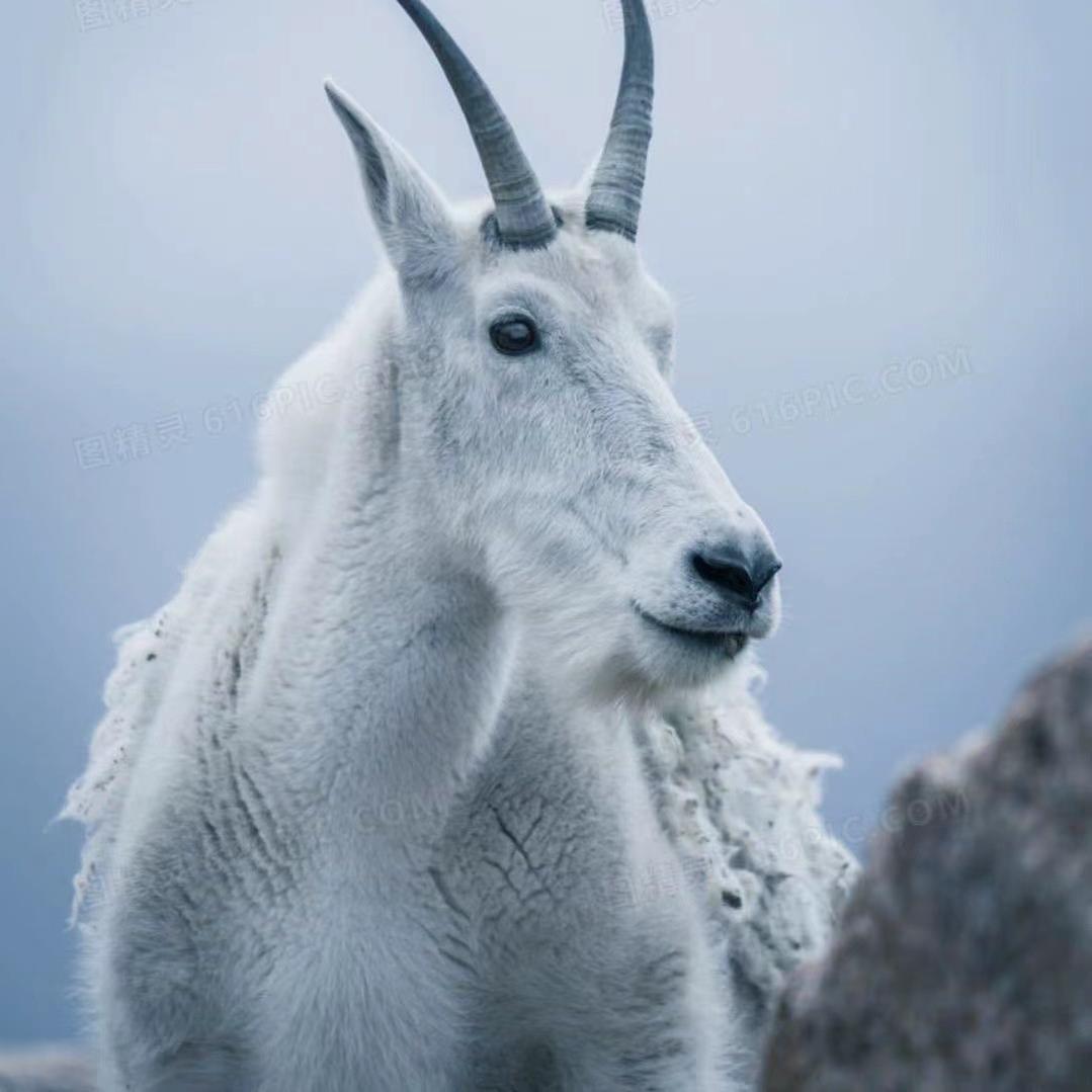 袖上羊绒工厂店