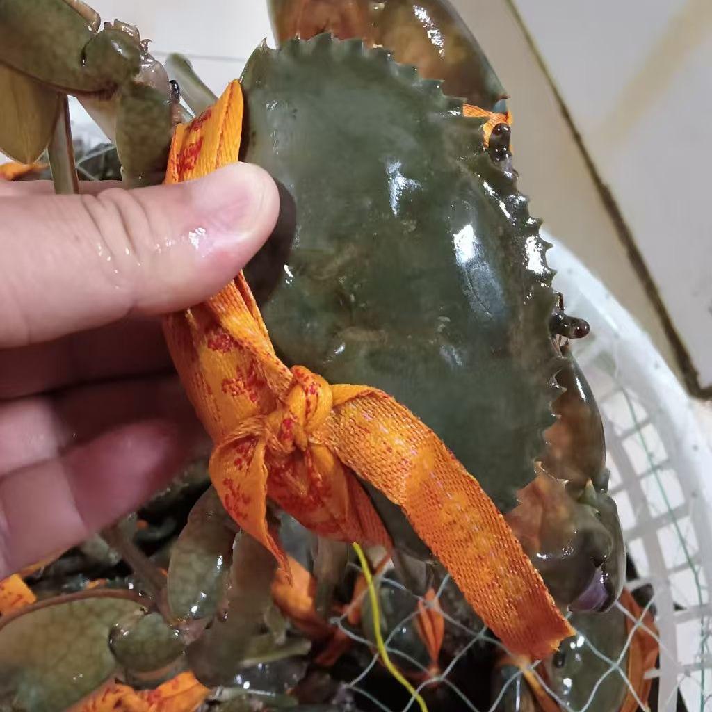 刘兵海产品官方号
