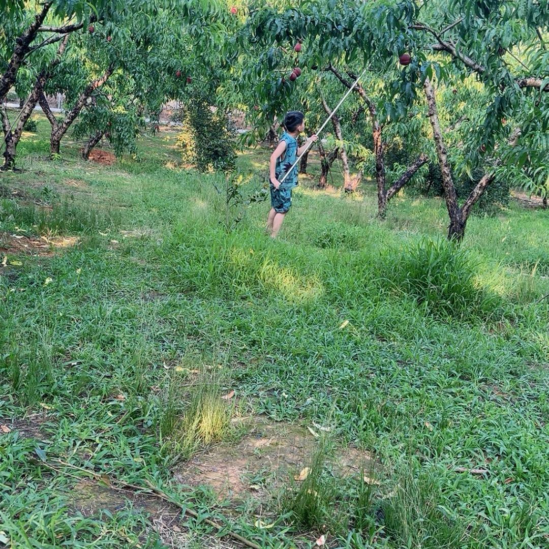 尼玛油恰里窝力了