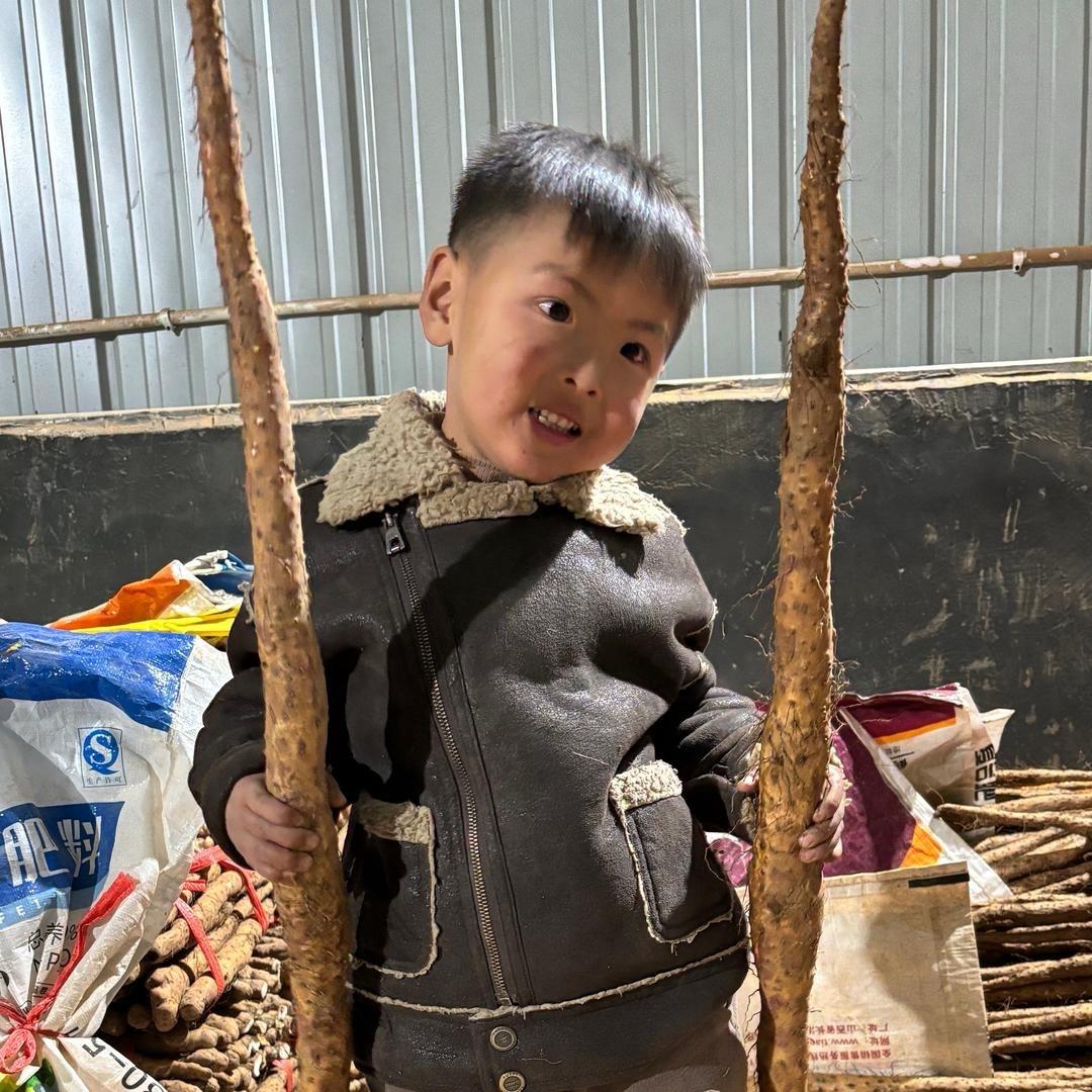 温县博辰铁棍山药