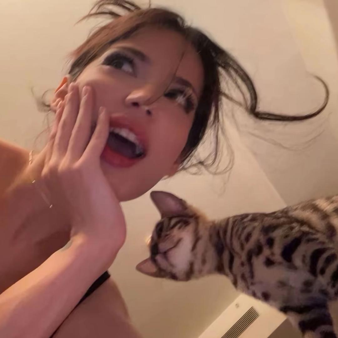 小宅