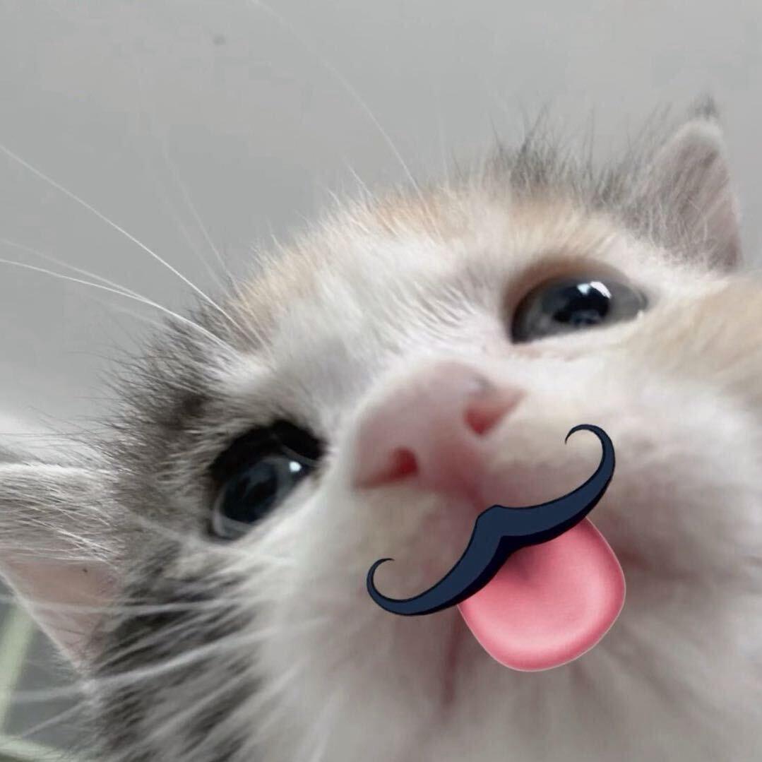 绪