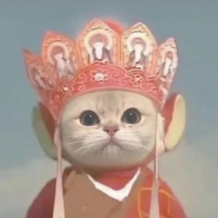大脸猫🐱