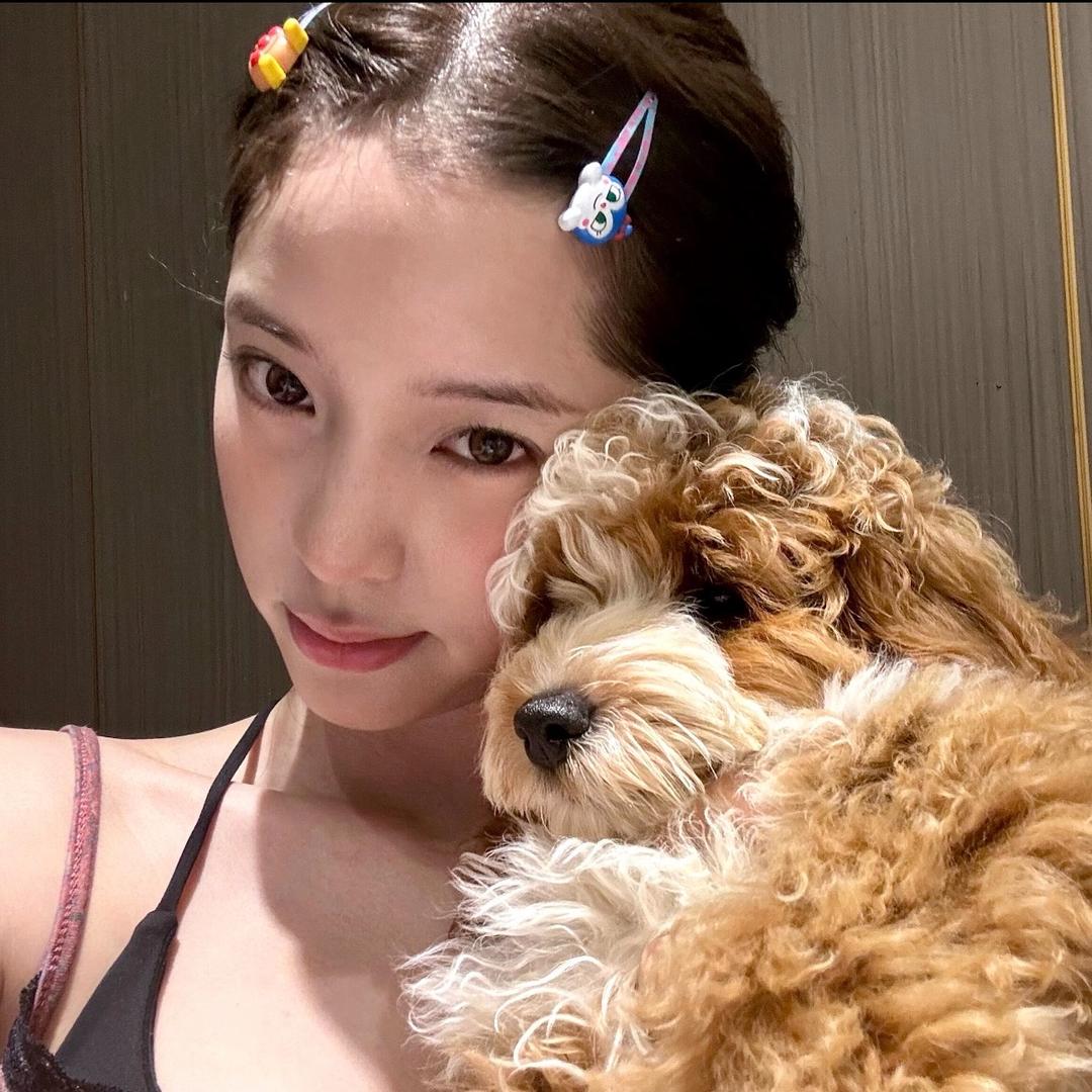 藤与蔓