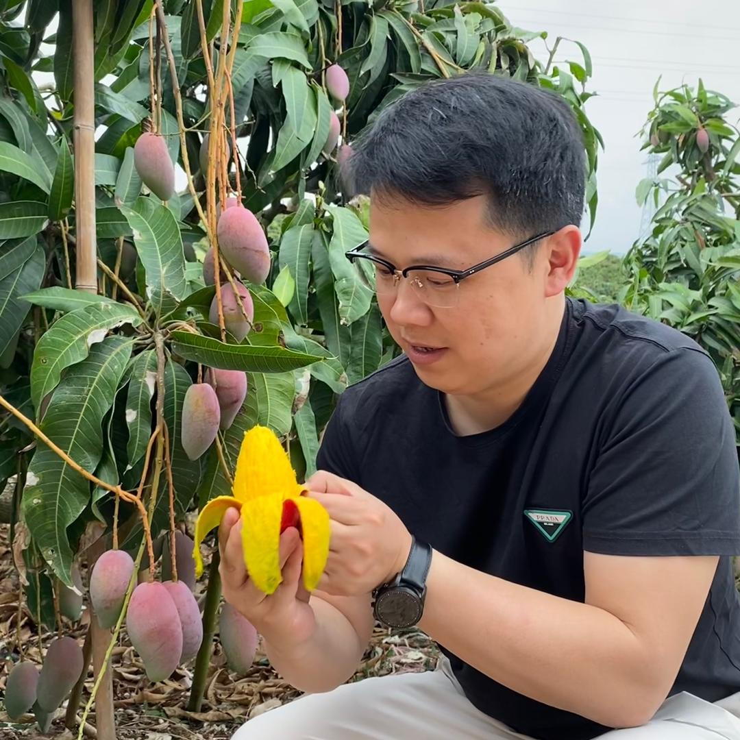 乐田农业（阿5哥）