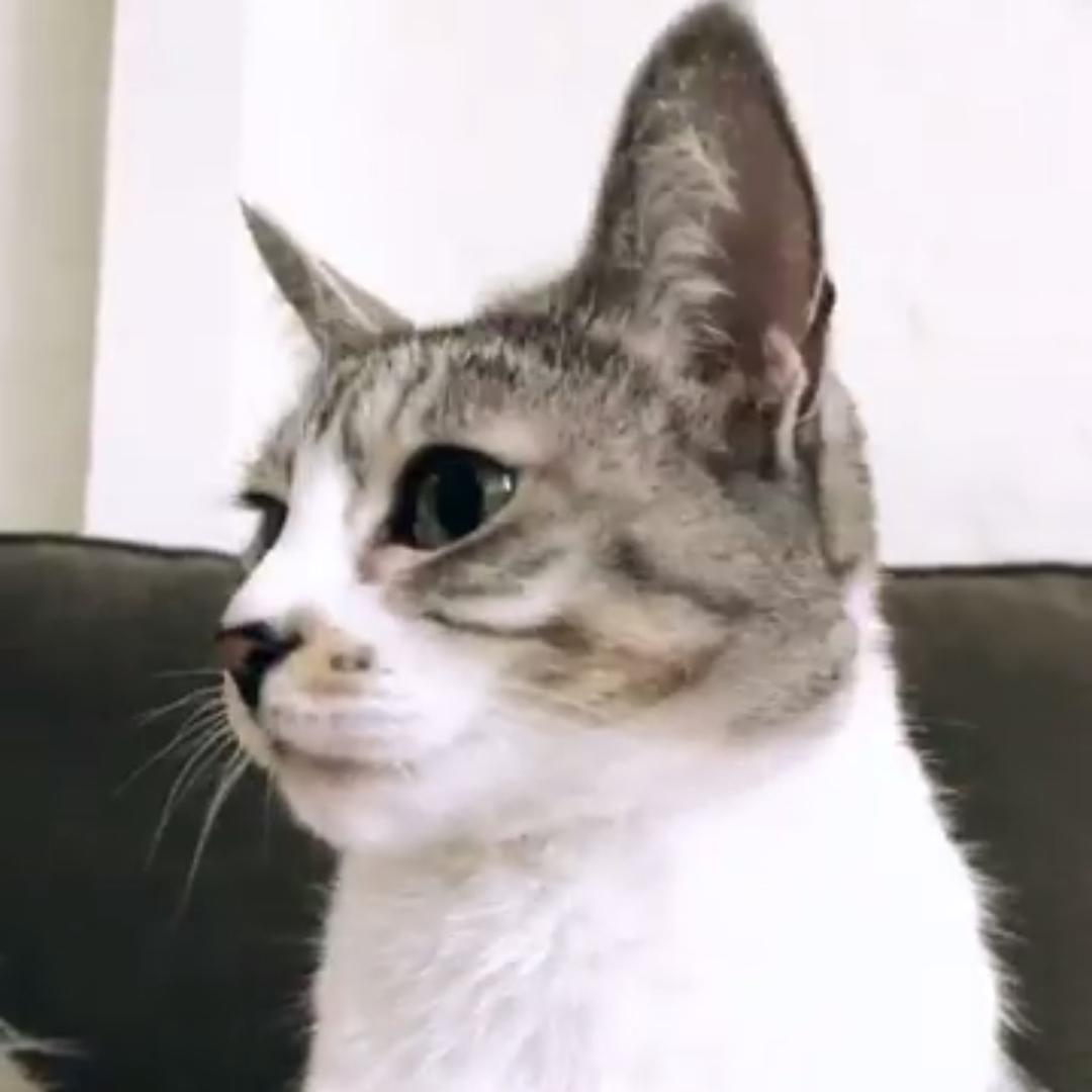 老朋友～