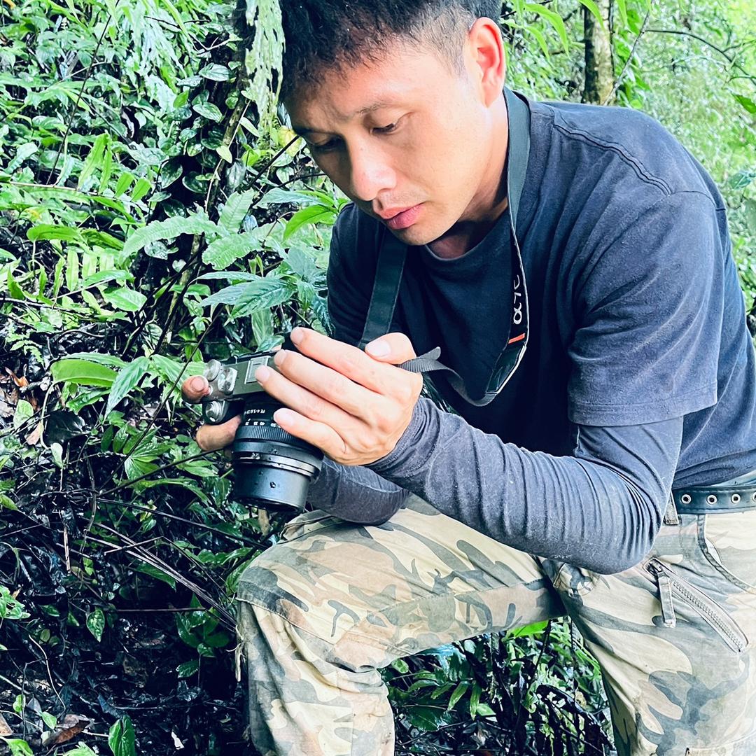 不山不山