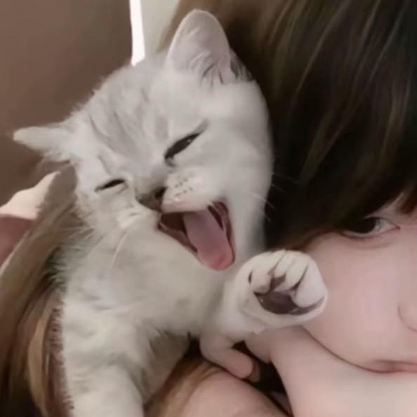 ^ ̳> ‧̫ < ̳^ฅ