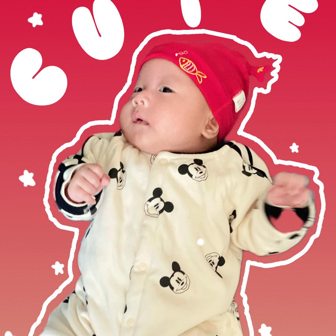 灏灏图宏