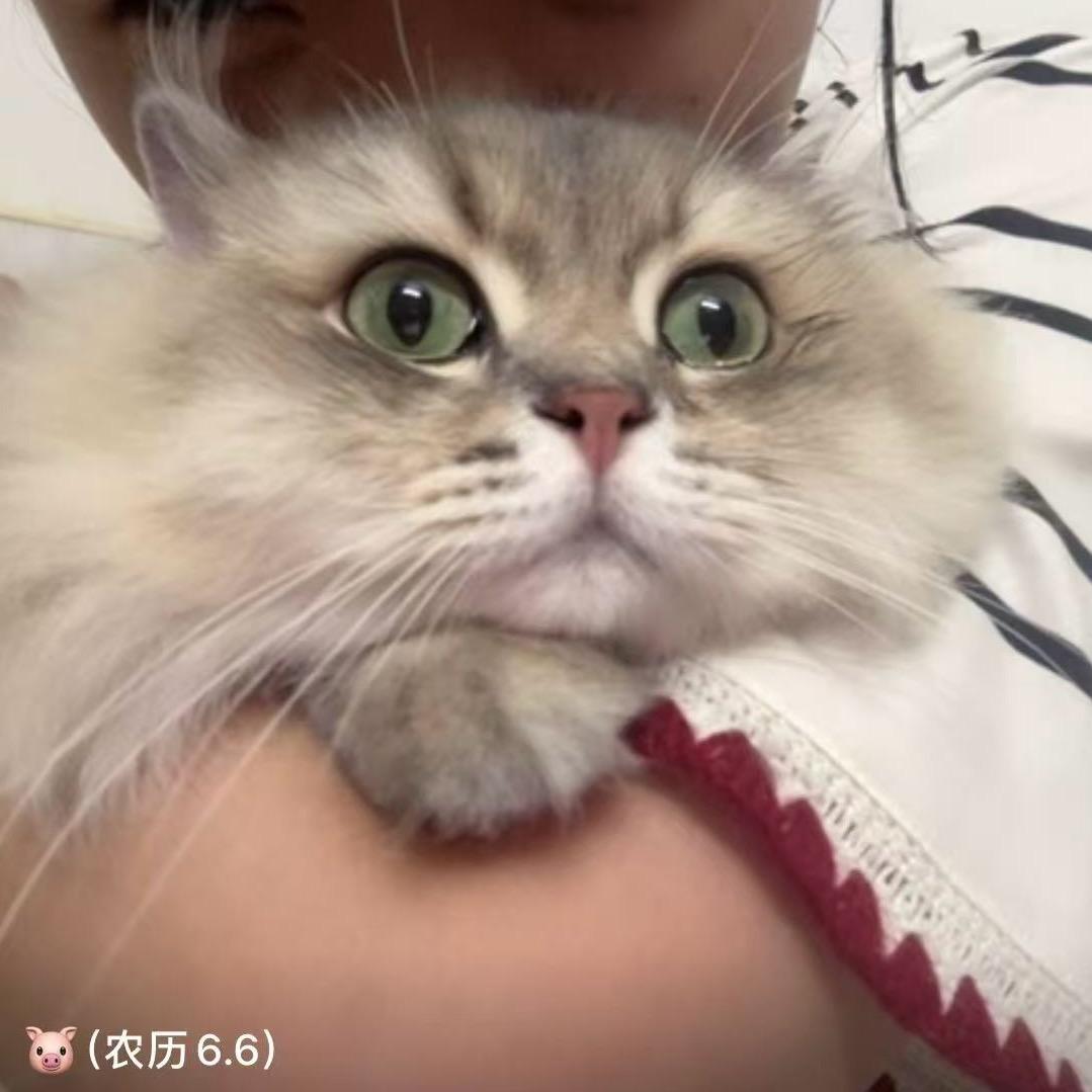 松松大王