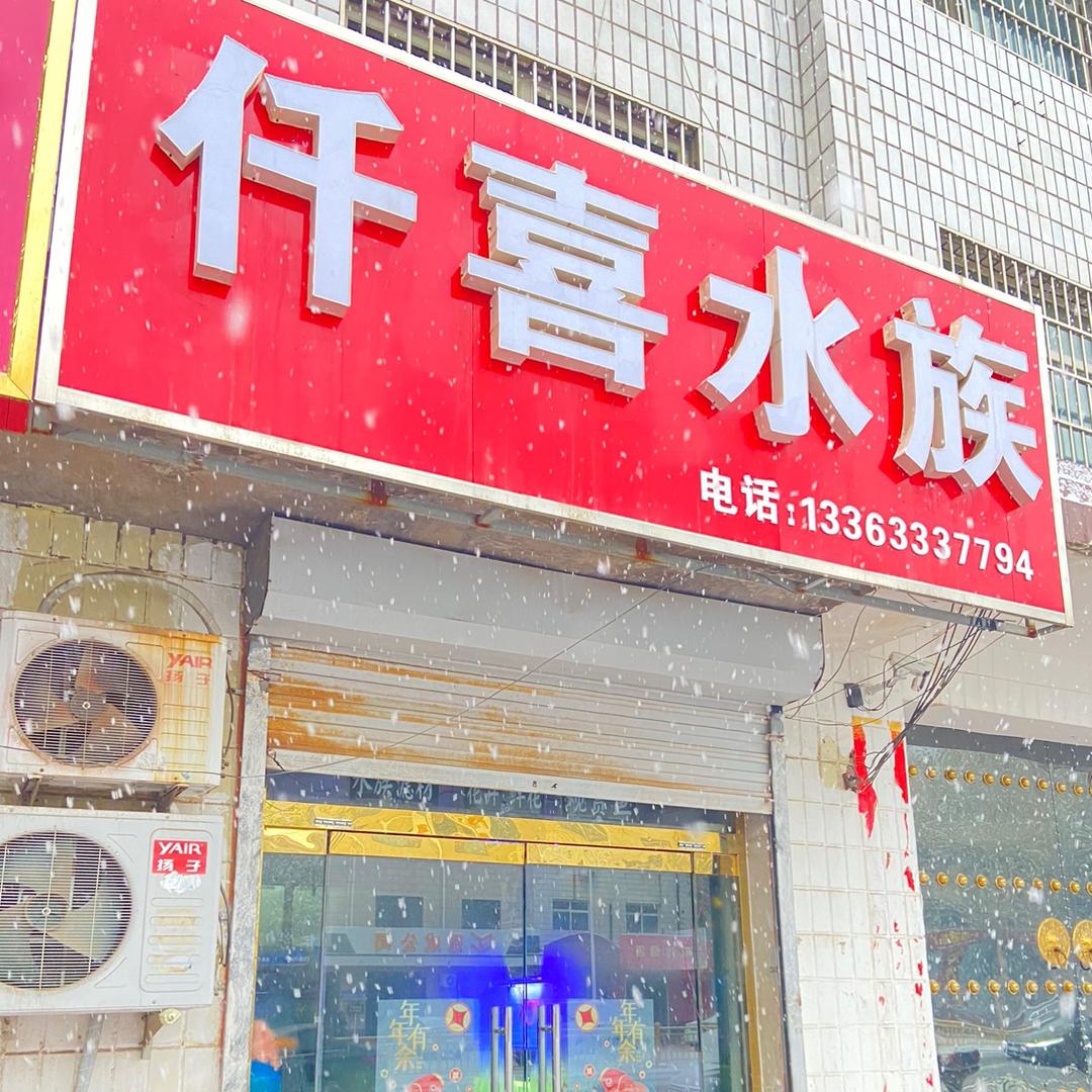 仟喜水族