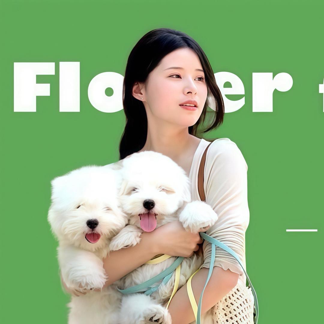 花田棉花面纱犬舍