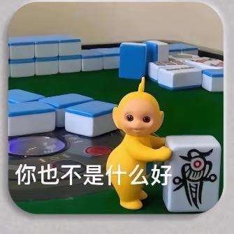 木知风意