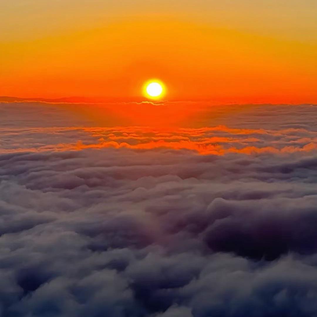 🌞。