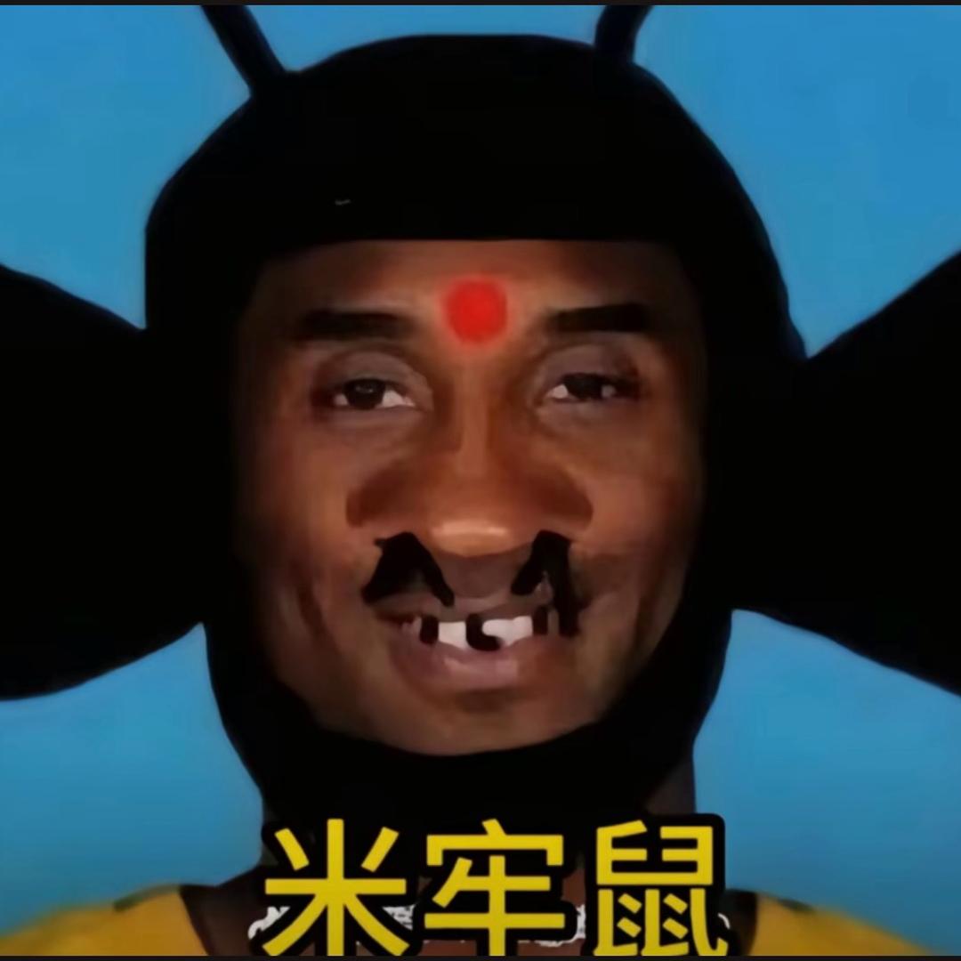 喜欢东北的雨