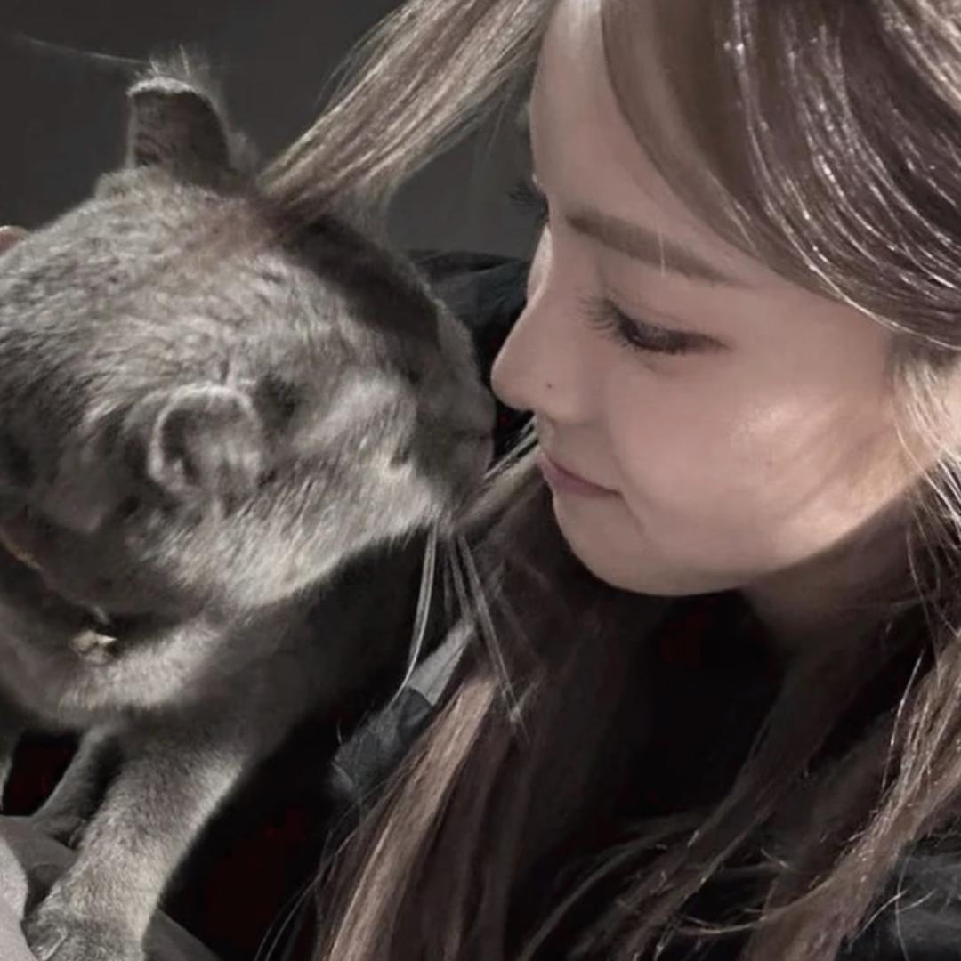 小猫小蛋糕西红柿炒蛋