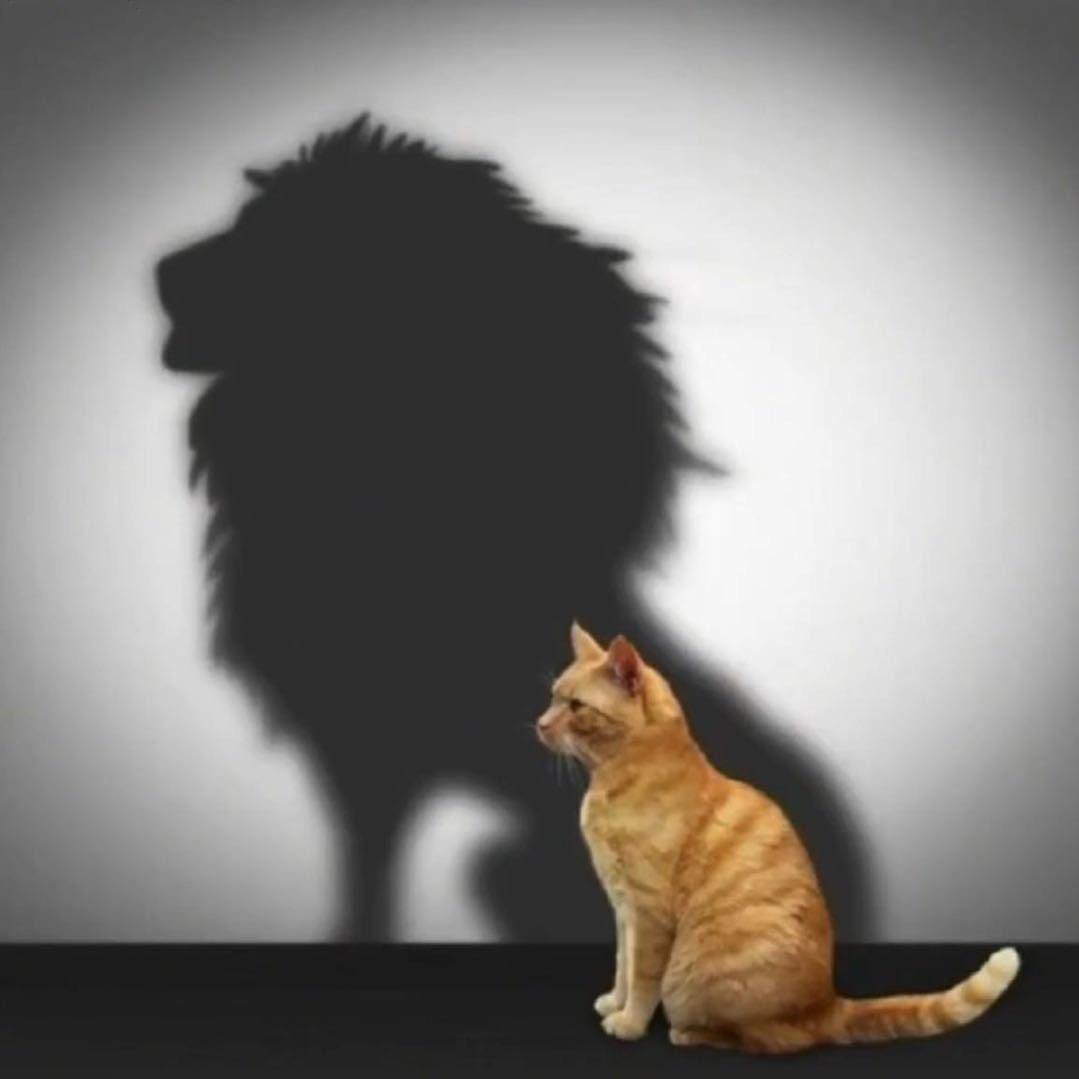 天生励志难自弃