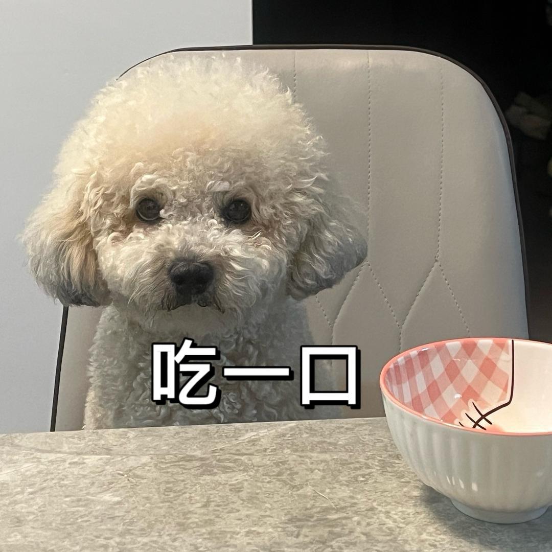 三角洲小腿跑断了喔