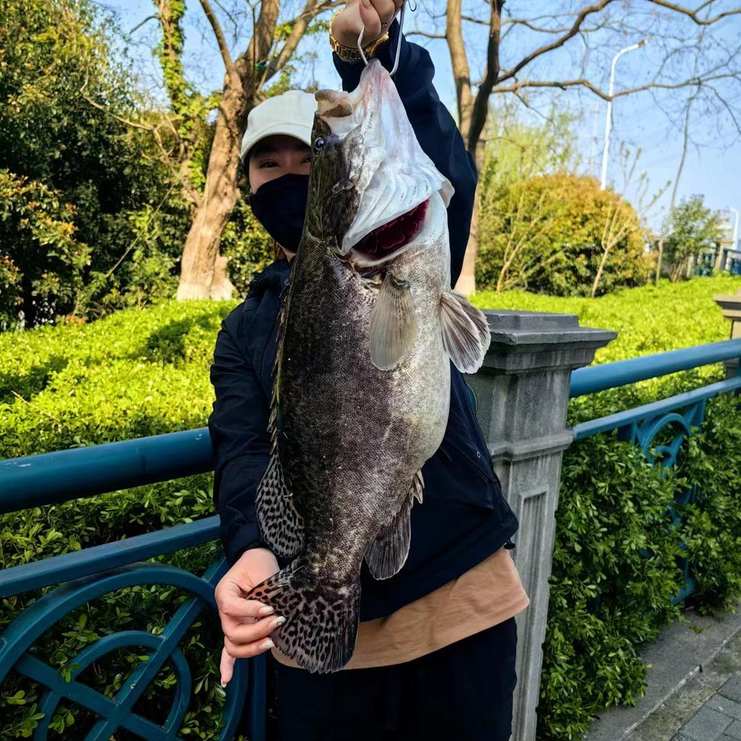 80后宝妈五常大米店