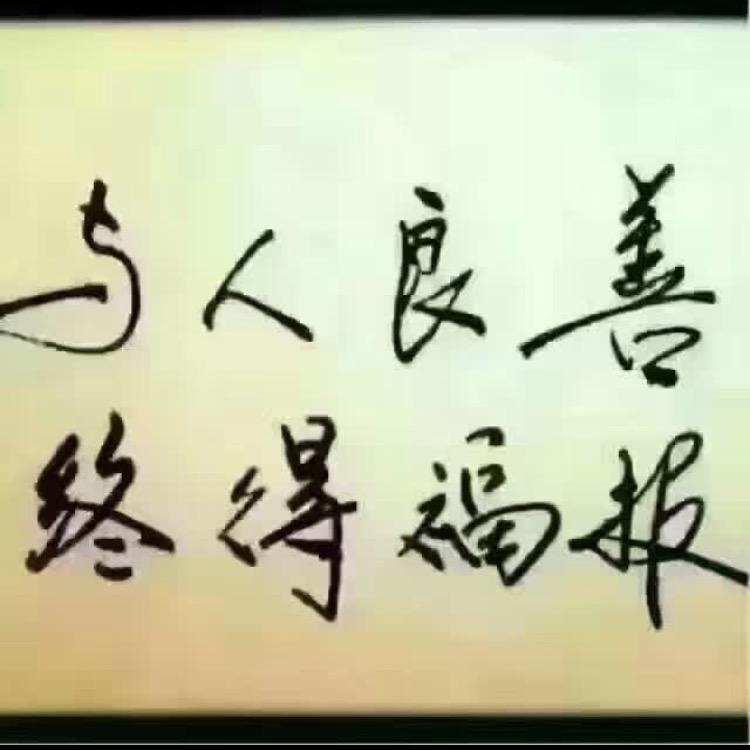 鸿雁