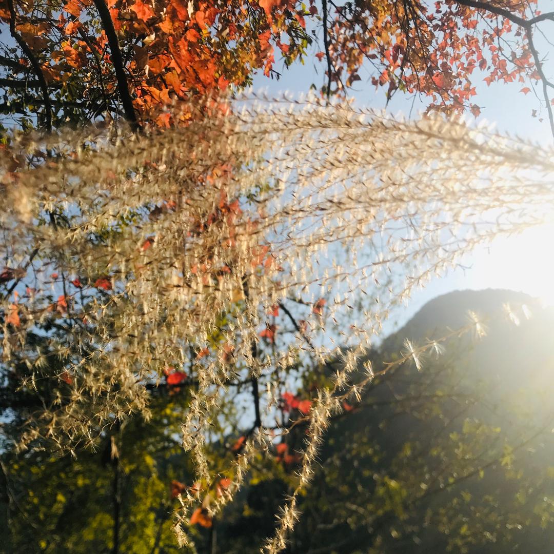 北海