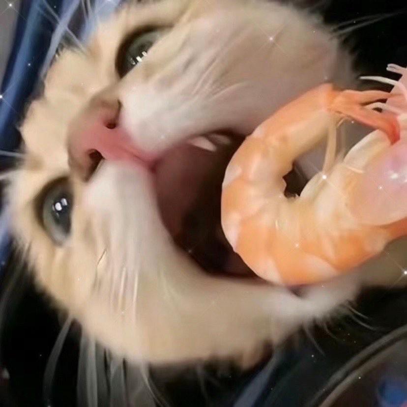 Fkaol