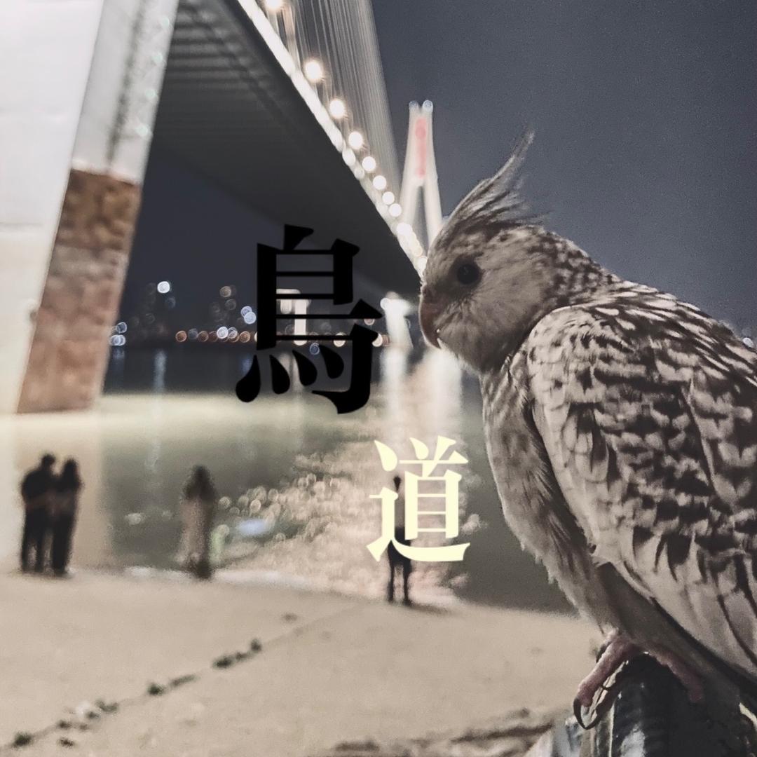 花大叔的鹦鹉