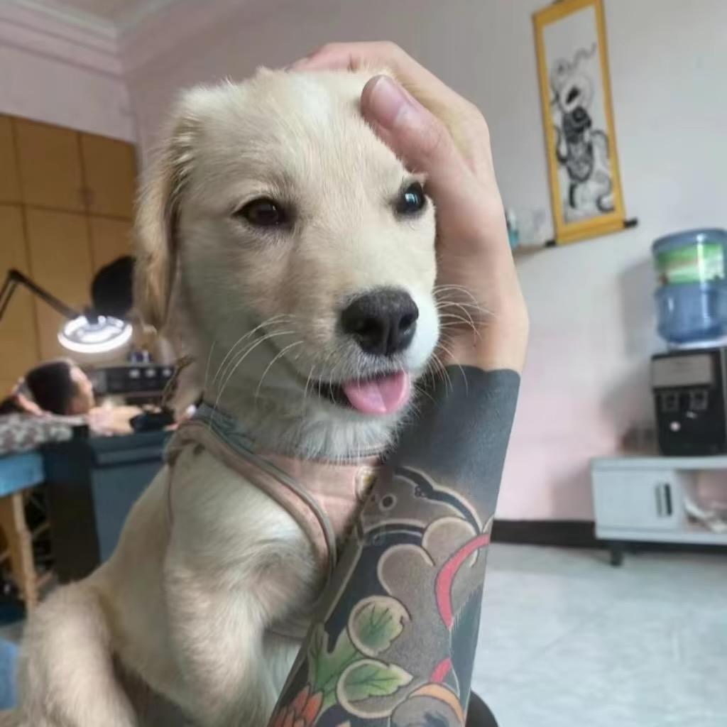 回忆似水剪不断