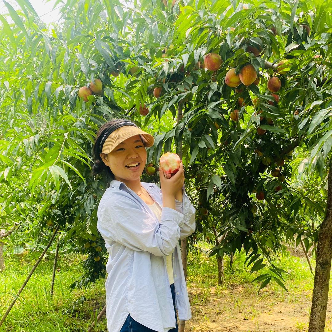 阳光果苗种植基地