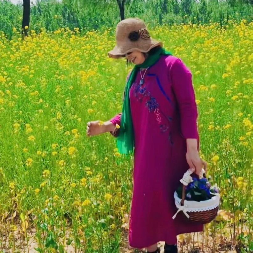 蔷薇花