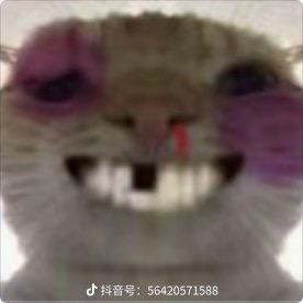 汕头王多鱼