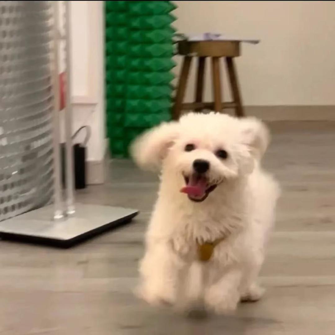 宇宙无敌霹雳闪电999伤害超级普信女