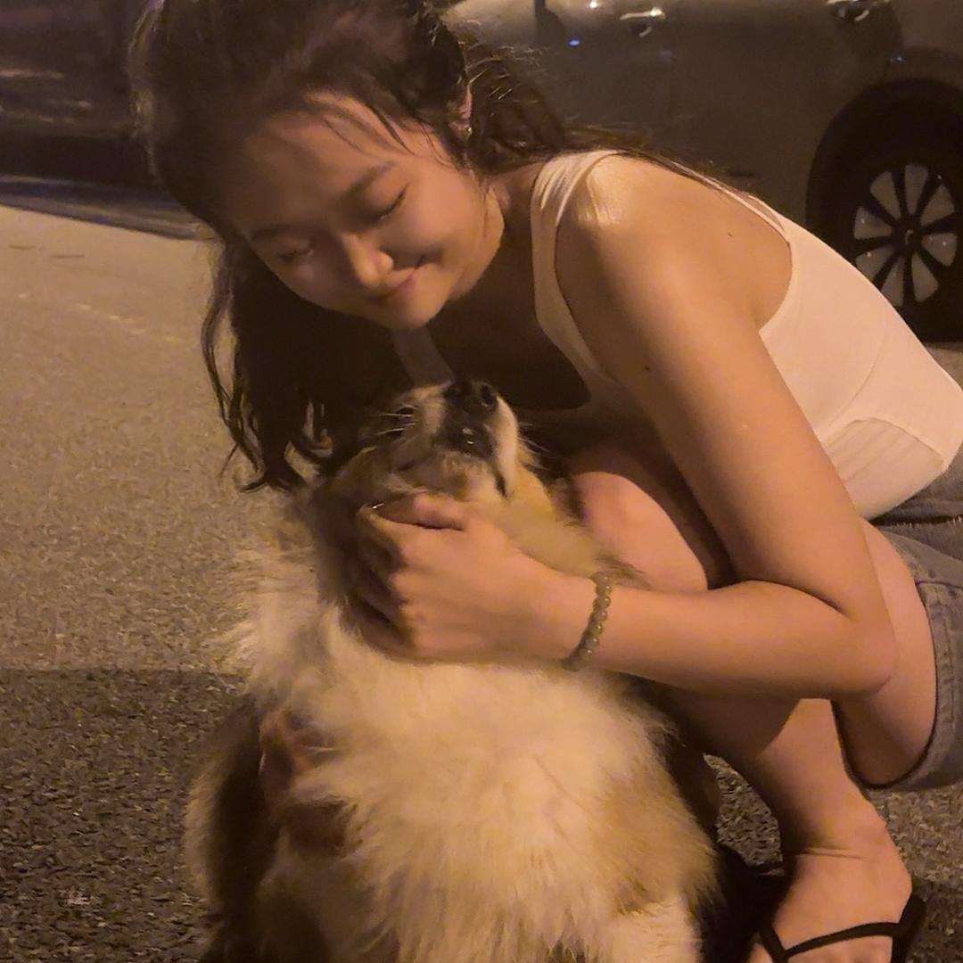 污西迪西