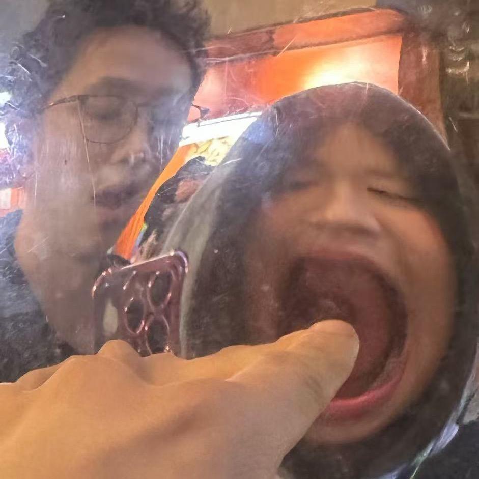 乌蝇泡板蓝根